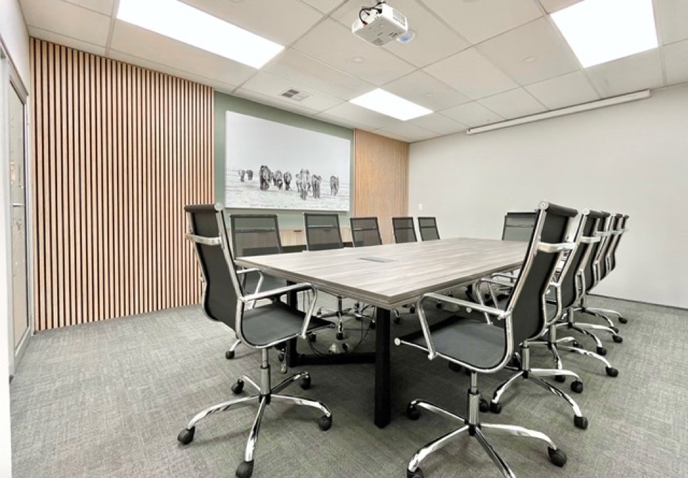 Mafunyane Board Room with conference table and presentation equipment