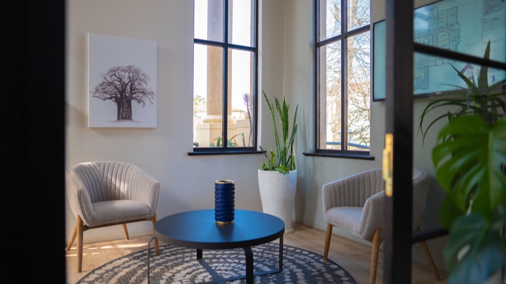 Sunlit meeting nook with armchairs and baobab artwork